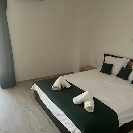 за гости сузи *