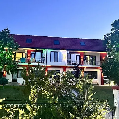 за гости сузи