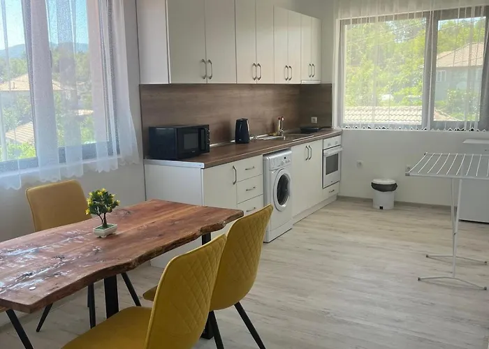 за гости сузи * Zavoya