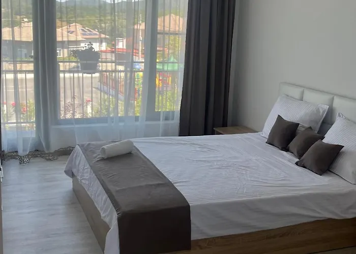 за гости сузи * Zavoya