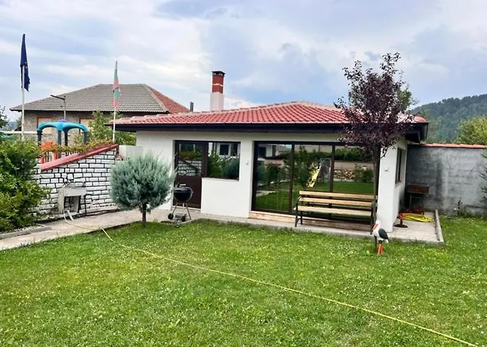 за гости сузи * Zavoya